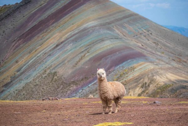 Montaña Palccoyo