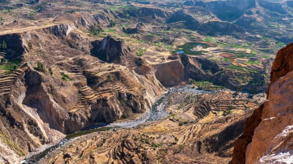 Tour al Cañón del Colca Full Day