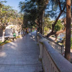 Ica City Tour + Buggies