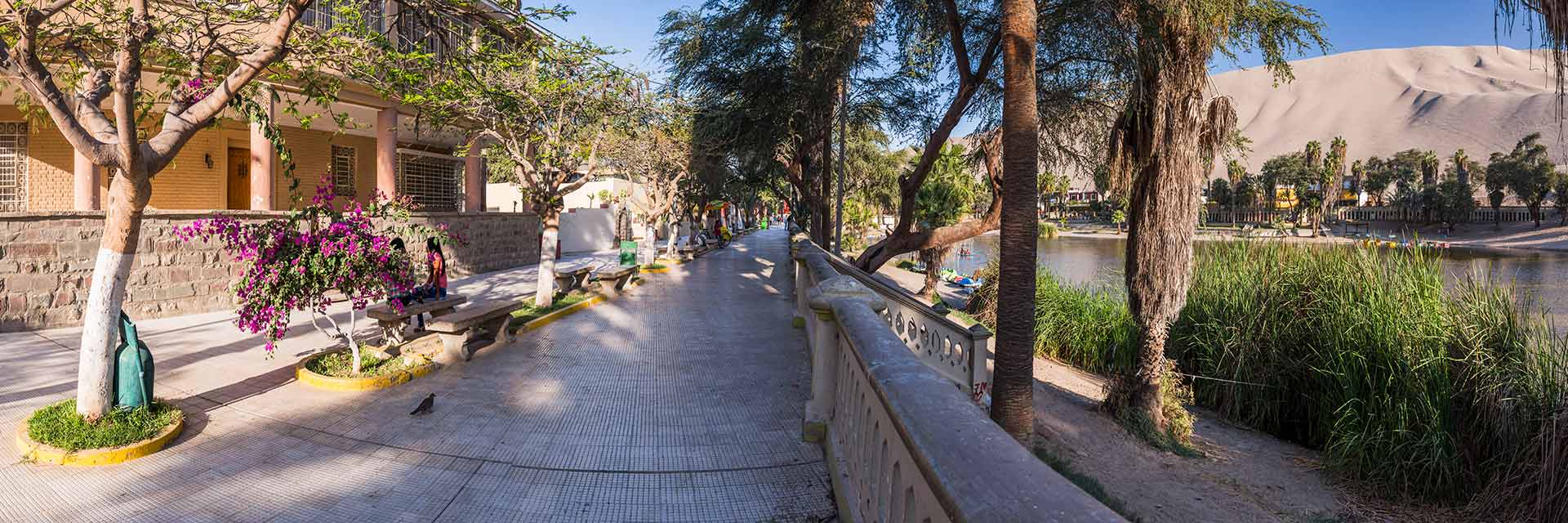 Ica City Tour + Buggies