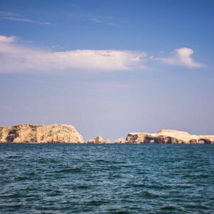Islas Ballestas + Reserva de Paracas desde Ica