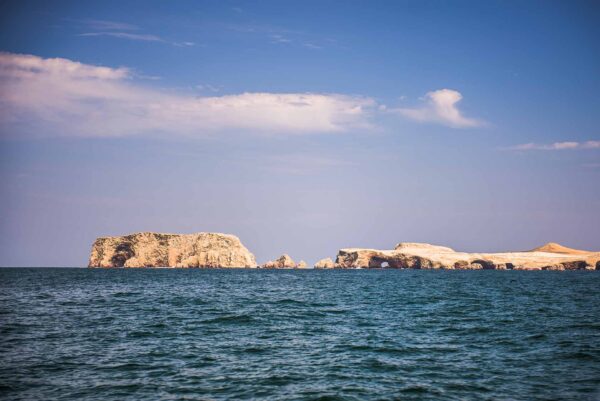 Islas Ballestas + Reserva de Paracas desde Ica