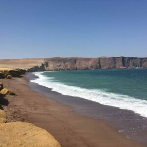 Tour en la Reserva Nacional de Paracas