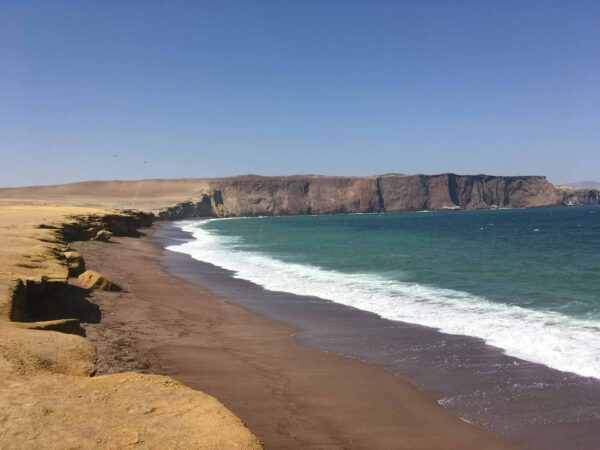 Tour en la Reserva Nacional de Paracas